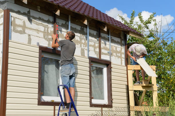 Best Shed Removal  in , NE