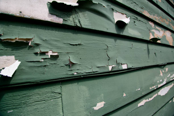Best Residential Junk Removal  in , NE