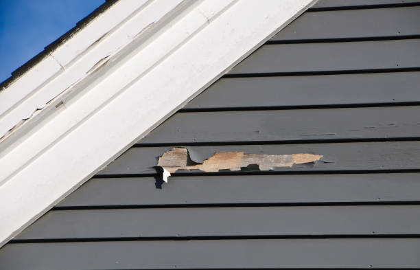  , NE Junk Removal Pros