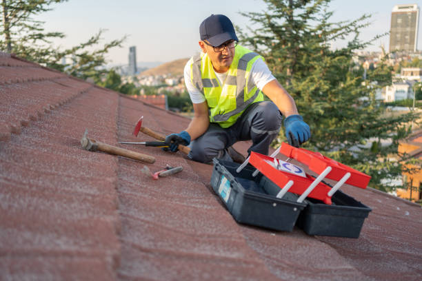 Best Carpet Removal and Disposal  in , NE